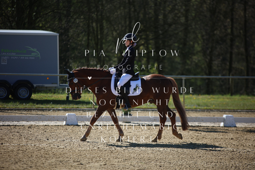 IMGT0010 | pl-fotografie