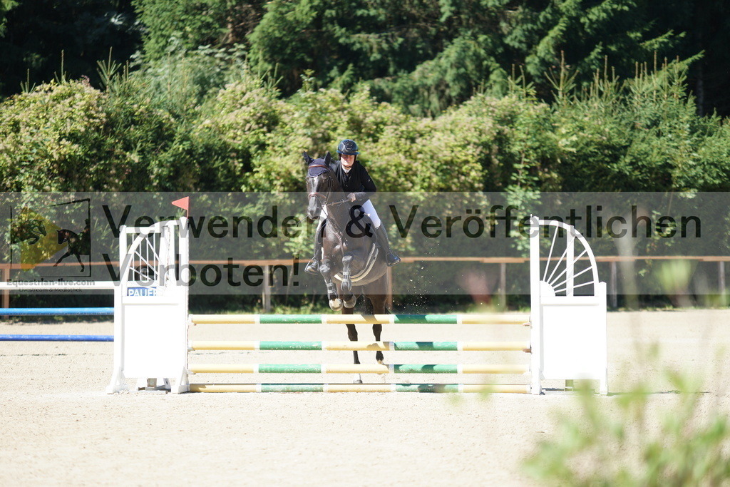 DSC07214 | equestrian-live-com