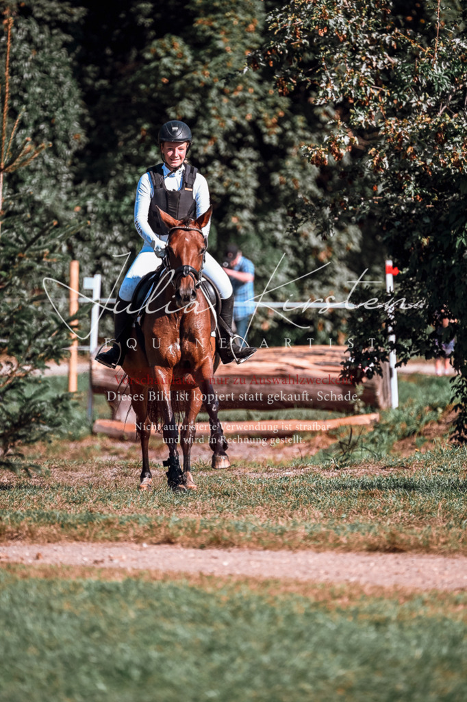 DSC_0687 | Pferde- und Turnierfotografie in Westsachsen. Pferdeportraits, Auftragszeichnungen und intuitive Kunst.