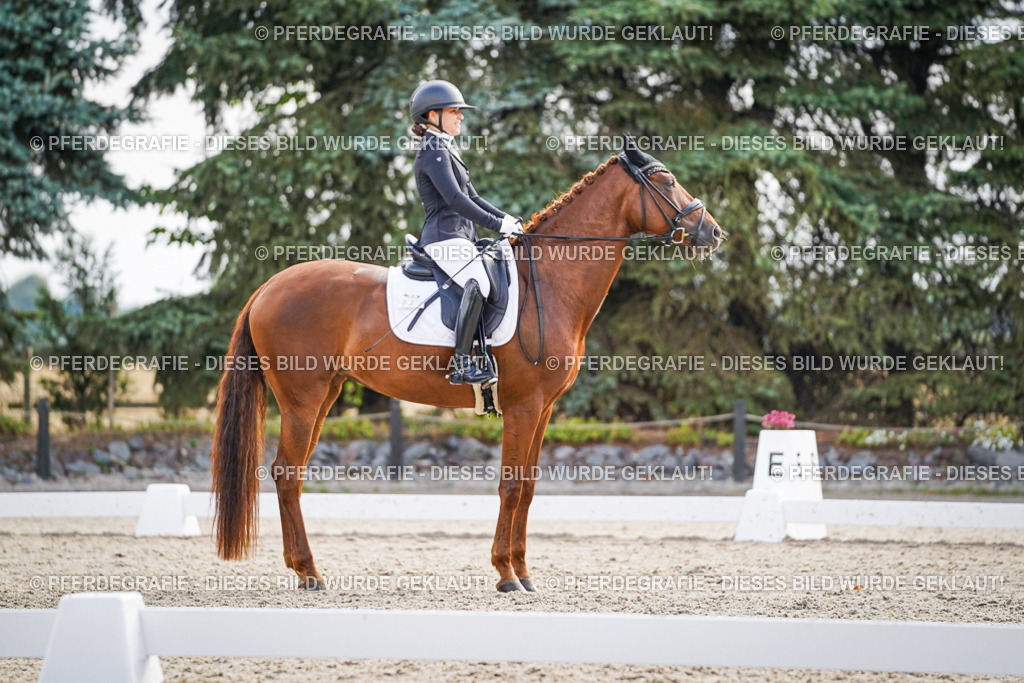 DSC00682 | Pferdegrafie