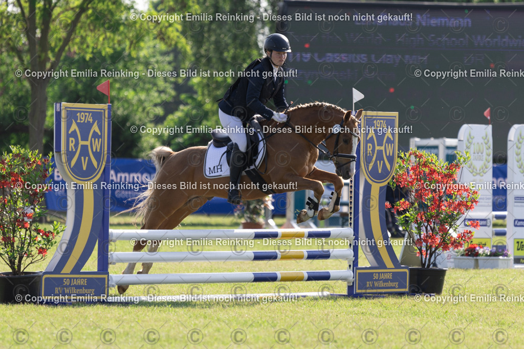 CL5A0290 | Emilia Reinking Fotografie - Realisiert mit Pictrs.com