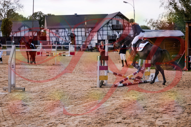 2026_10_03_Siefer-Hof_145939_Z81_42066283 | Professionelle Reitsport-, Turnier- und Eventfotografie von Robert Broda. Galerien mit ausgewählten und bearbeiteten Bildern direkt online ansehen und bestellen.