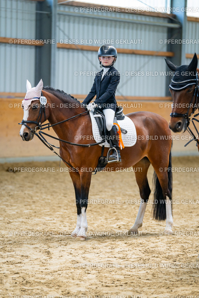 DSC01193 | Pferdegrafie