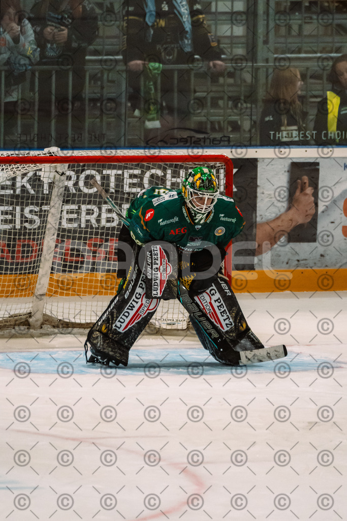 Alligatros_vs_Leipzig_11_09_2026-32 | Die Fotogalerie von Daddel: professionelle Bilder von Sport, Events und Unternehmen aus Franken. Jetzt Galerien durchstöbern und Lieblingsfotos bestellen. - Realisiert mit Pictrs.com