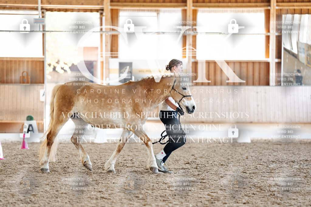 CK907305 | Turnierfotografie Pferdefotografie Trier Rheinland-Pfalz Pferdesport Reitsport Tierfotografie Sportfotografie Pferdevideo Pferdevideografie Equestrianvideography equestrianphotography  - Realisiert mit Pictrs.com