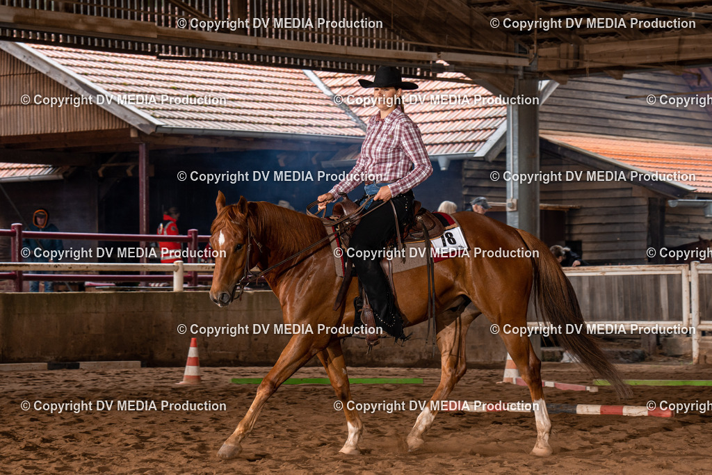 Erbach Tag 3-291 | dv-media-shop - Realisiert mit Pictrs.com