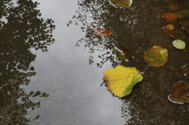 _DSC2178 | Outdoorpixl Teßen OHG - Realisiert mit Pictrs.com