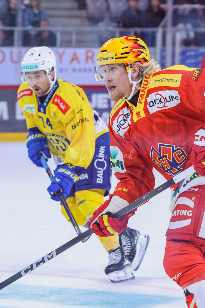 09112025_EHCB vs HCD_wb-3596 | Sportbilder, Sportfotograf, Hochzeits- und Eventfotografin, Flugshows, Portraits und Tiershooting, Aviation, Downhill, Nationalleague, Swissleague, International