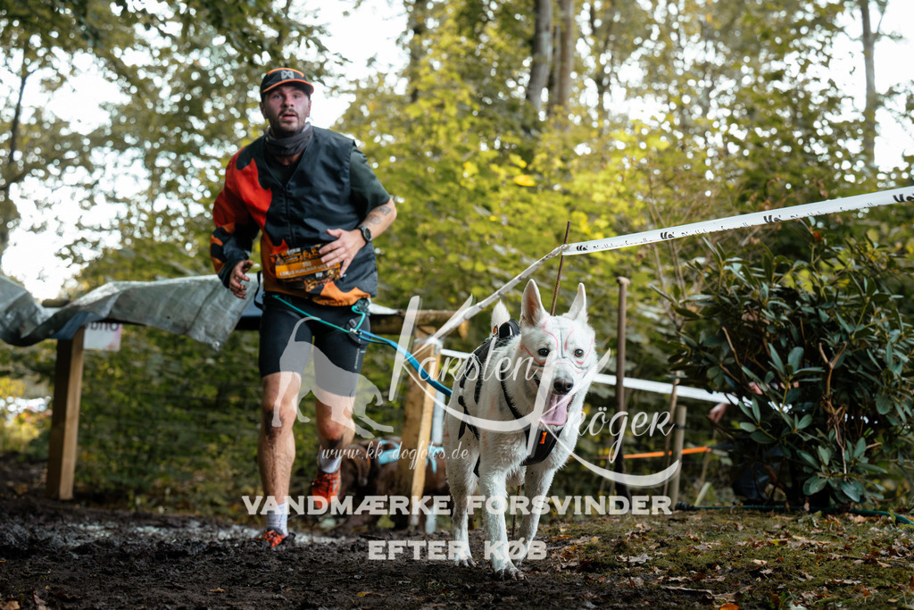 1409DZ6_1106Z6 | kk-dogfotos