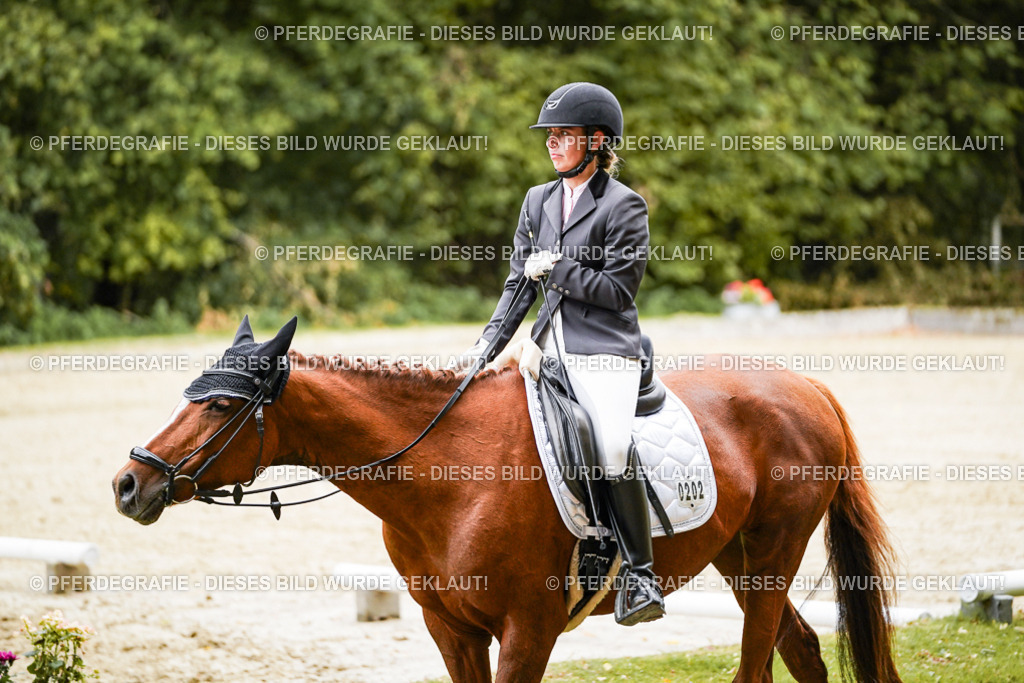 DSC08769 | Pferdegrafie