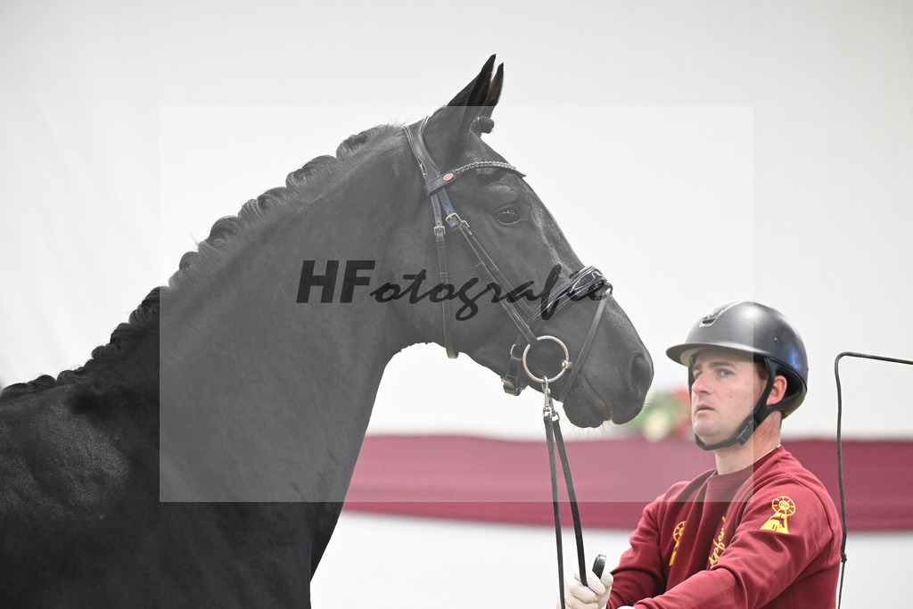 Kat-Nr. 55 Dream Royal x Fleury_Martina Breitner-Roetzer_47252046 | hf-fotografie - Realisiert mit Pictrs.com
