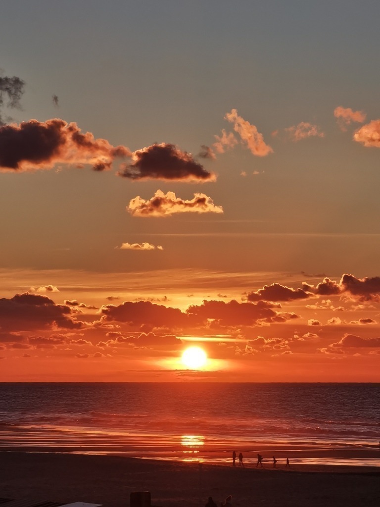 IMG_20240928_192651 | Pandiboo - Realisiert mit Pictrs.com