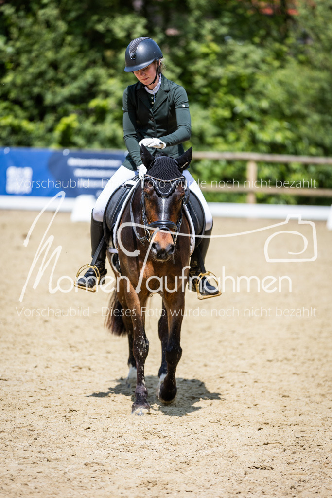 Donop24-EDre-054 | MomenTaufnahmen Pferdesportfotos