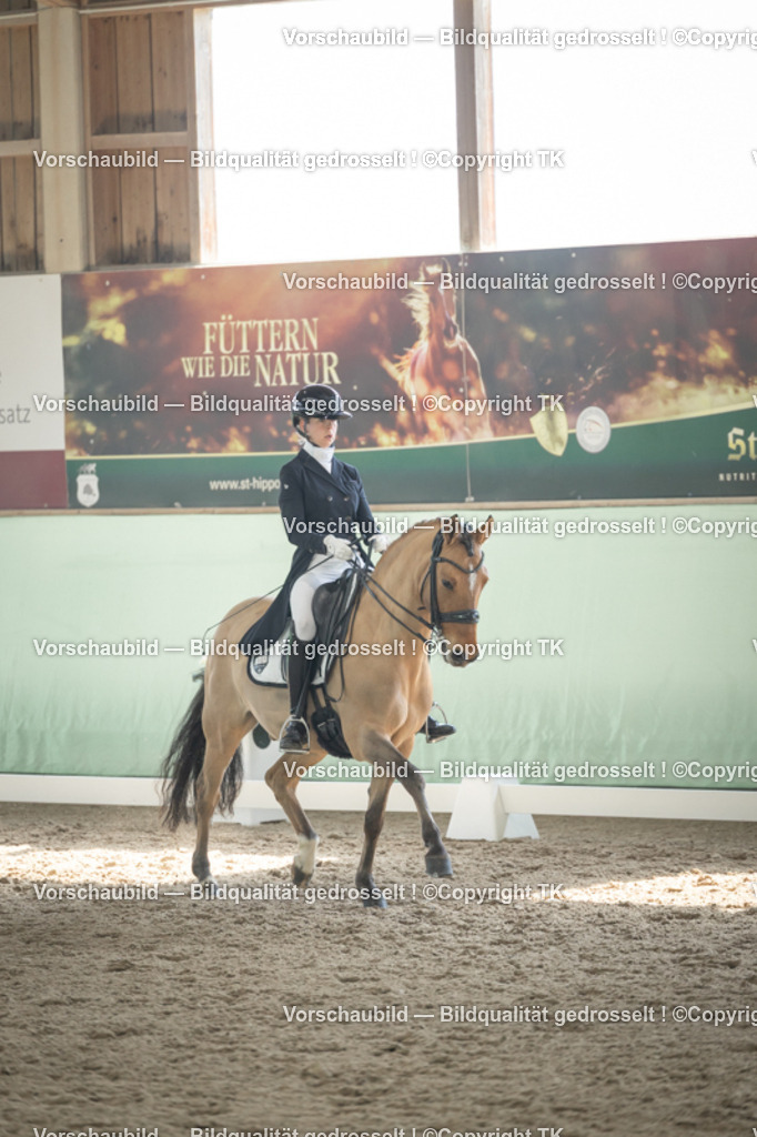 _D5A1751 | Emotionale Pferde- & People-Fotografie rund um Heidelberg, Leimen & Umgebung. Natürliche Fotos von Pferd, Mensch & Familie. Jetzt Termin sichern!