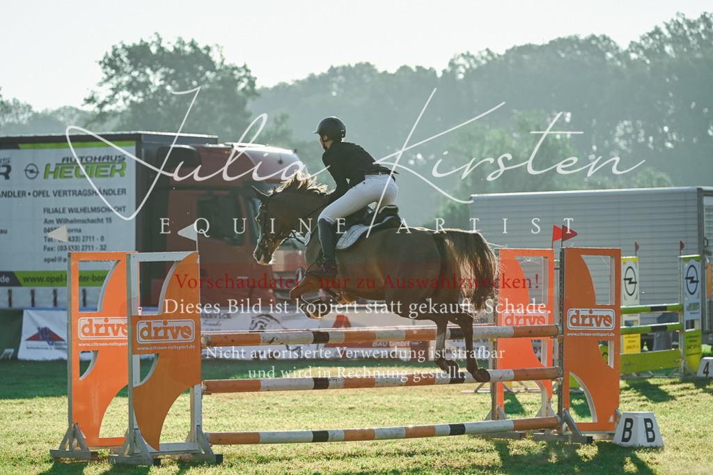 DSC_4019 | Pferde- und Turnierfotografie in Westsachsen. Pferdeportraits, Auftragszeichnungen und intuitive Kunst.