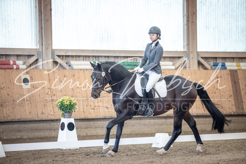 20251011-_3LI7658 | Tierfotografie Pferde, Hunde, Katzen, Haustiere.
Turnierfotografie Reitturniere, Reiten, Springreiten, Dressur in Hanau, dem Main-Kinzig-Kreis und dem Rhein-Main- Gebiet um Frankfurt