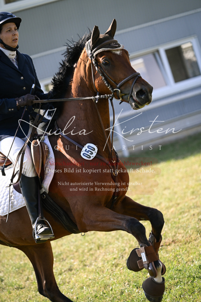 DSC_1266 | Pferde- und Turnierfotografie in Westsachsen. Pferdeportraits, Auftragszeichnungen und intuitive Kunst.