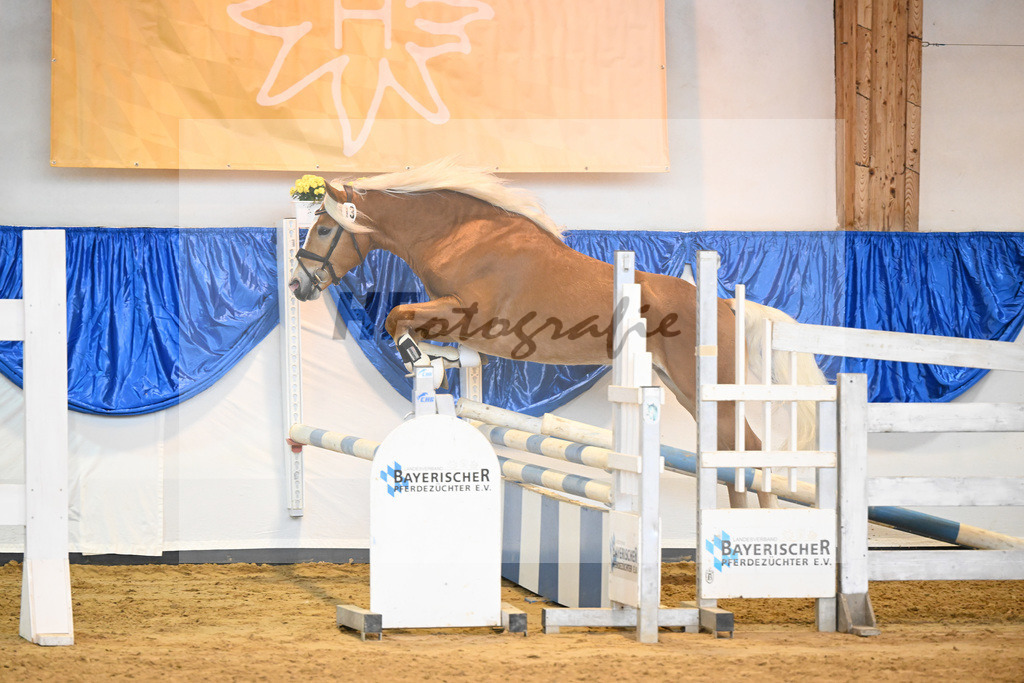 Kat-Nr. 13 nn v. Alfred_Hoegner_60220185 | hf-fotografie - Realisiert mit Pictrs.com