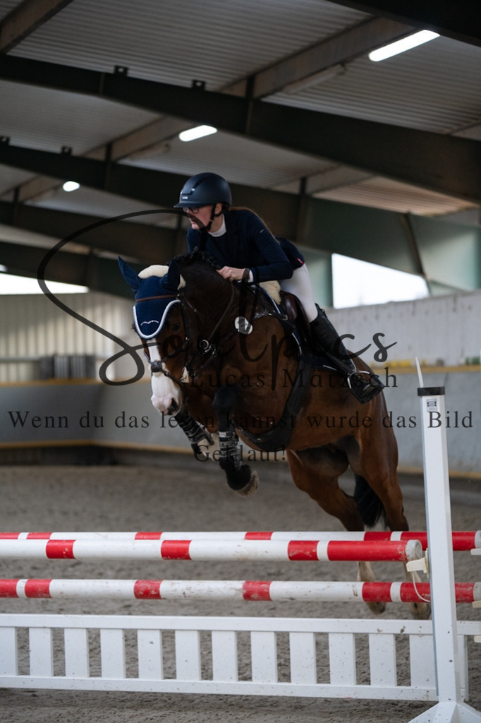 A7V04508 | Pferdefotograf