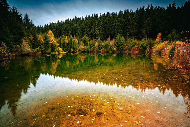 Spiegelung von einem Wald im See | Professionelle Natur- & Landschaftsfotos als Poster, auf Leinwand & viele mehr. Wähle aus einer Vielzahl an Formaten & Materialien Dein perfektes Bild. - Realisiert mit Pictrs.com