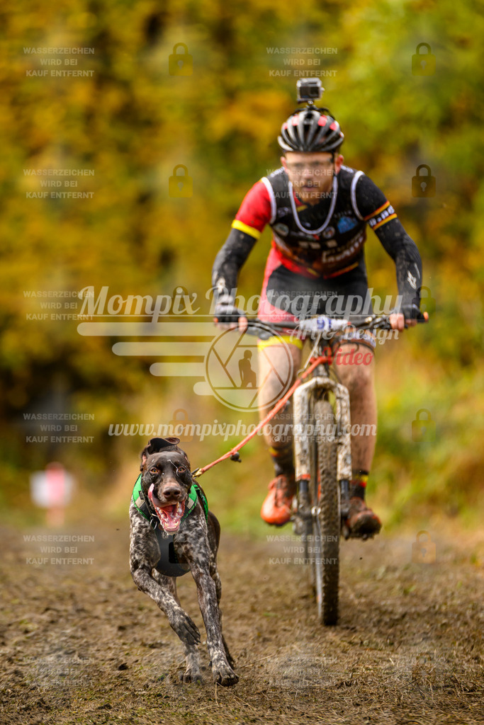MompixPhotography_ICF_WC_2024_SA_Bike_-55 | PayLife