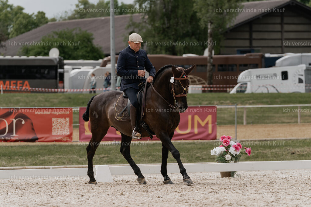 WE_DR_Stoib_320_PI2025_318 | Pferd International München 2025