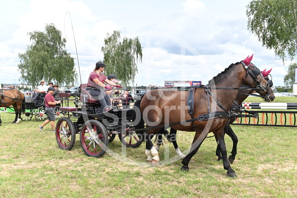 DSC_4273 | sattelsport - Realisiert mit Pictrs.com