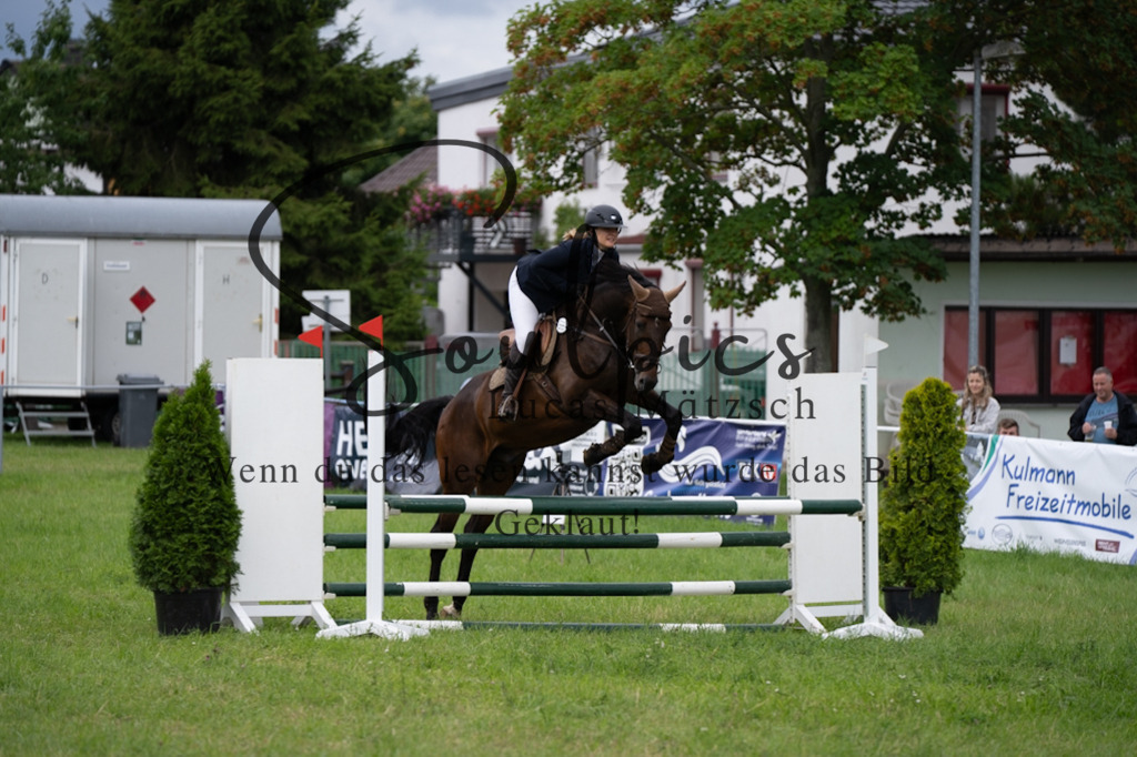 A7V03944 | Pferdefotograf