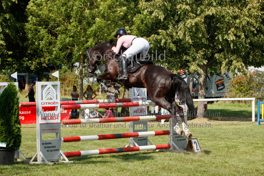 IMG_3669 | P. Berger Fotografie - Realisiert mit Pictrs.com