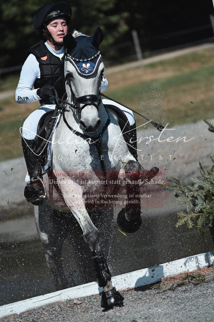 DSC_8543 | Pferde- und Turnierfotografie in Westsachsen. Pferdeportraits, Auftragszeichnungen und intuitive Kunst.