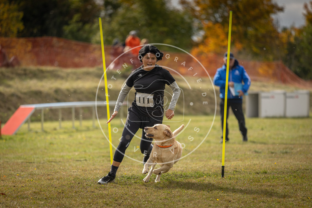 Pfotenfotografie_DV3A7142 | Hundefotografie, Tierfotograf, Pfotenfotografie, Fotoshooting Hund, Hunde Portrait, Hundesport, Hundeportraits, Heideshooting, Hunde, Sportfotograf, Hundefotograf, Turnierhundsport, THS,  - Realisiert mit Pictrs.com