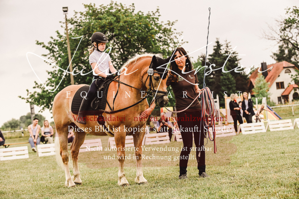 DSC_5270 | Pferde- und Turnierfotografie in Westsachsen. Pferdeportraits, Auftragszeichnungen und intuitive Kunst.