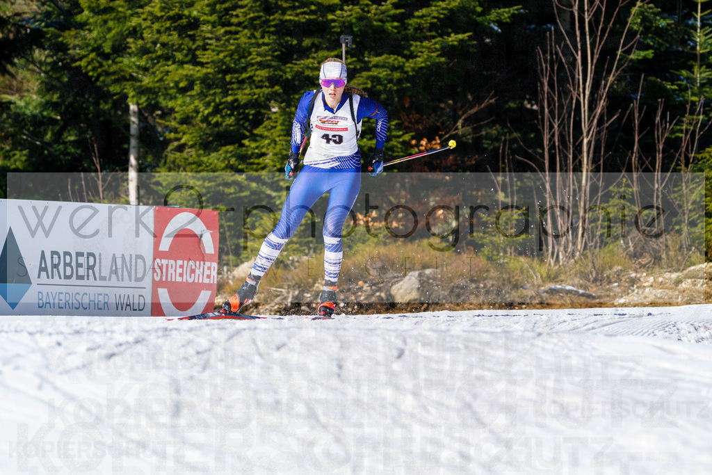 DP ARBER | 6. DSV JOKA Deutschlandpokal Biathlon im ARBER Hohenzollern Skistadion vom 23. - 25. Februar 2024