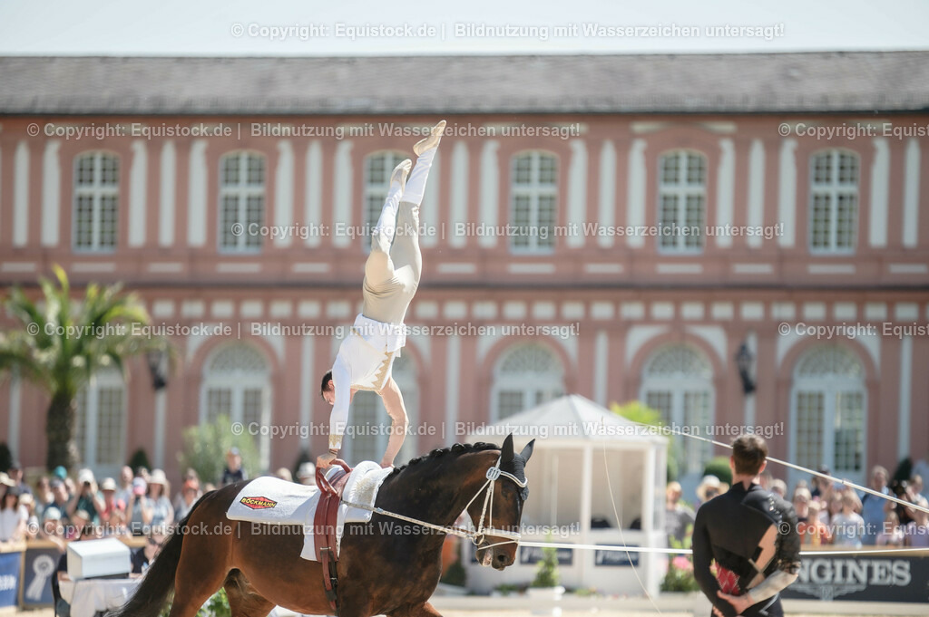 20230528_Voltigieren_NASPA_0195 | equistock