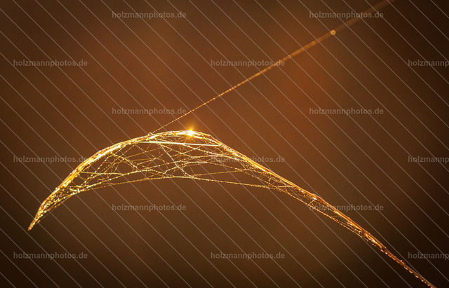 IMG_7295 | Fotograf Leipzig für Hochzeiten, Familienfeste & Porträts. Persönlich, ehrlich & echt – Emotion im Fokus. Jetzt Fotoshooting bei Holzmannphotos buchen!