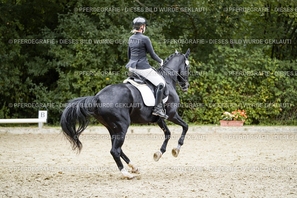 DSC02387 | Pferdegrafie