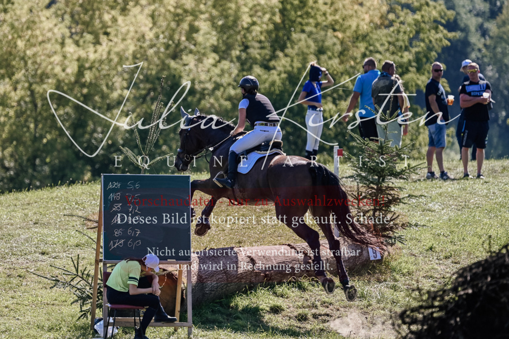 DSC_2721 | Pferde- und Turnierfotografie in Westsachsen. Pferdeportraits, Auftragszeichnungen und intuitive Kunst.