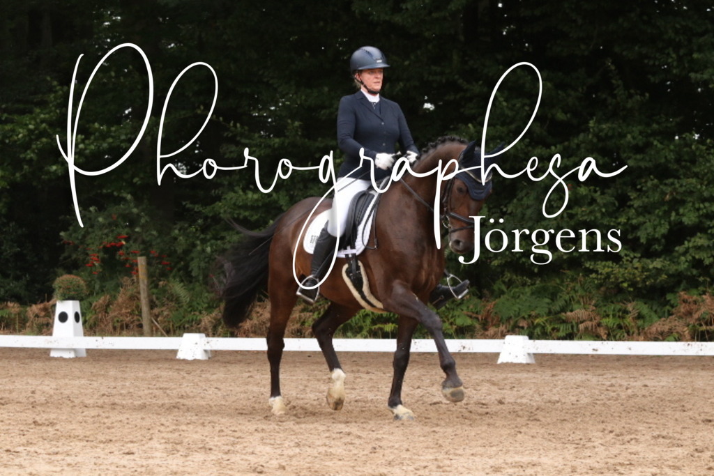 IMG_0119 | photographesa-joergens - Realisiert mit Pictrs.com