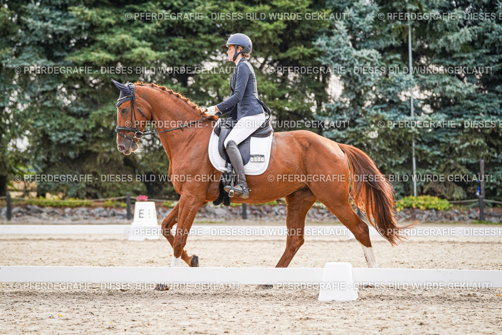 DSC00472 | Pferdegrafie