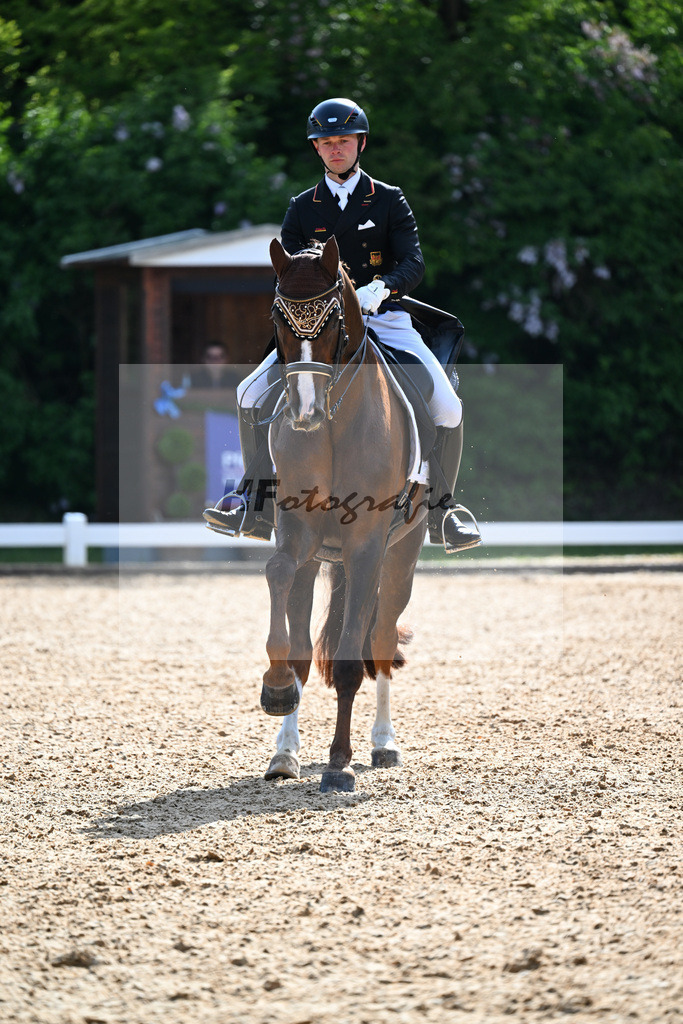Equistro Dressurderby_26268151 | hf-fotografie - Realisiert mit Pictrs.com