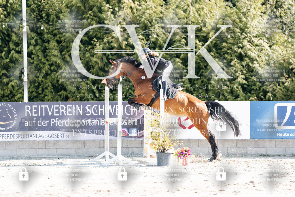 CK902544 | Turnierfotografie Pferdefotografie Trier Rheinland-Pfalz Pferdesport Reitsport Tierfotografie Sportfotografie Pferdevideo Pferdevideografie Equestrianvideography equestrianphotography  - Realisiert mit Pictrs.com