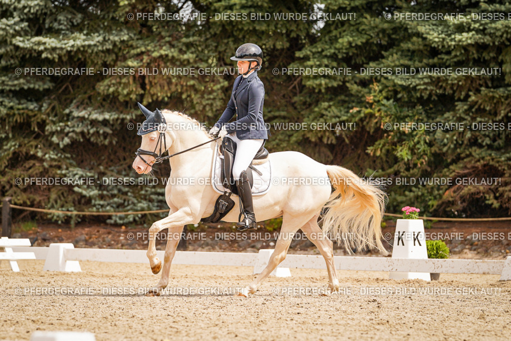 DSC01954 | Pferdegrafie