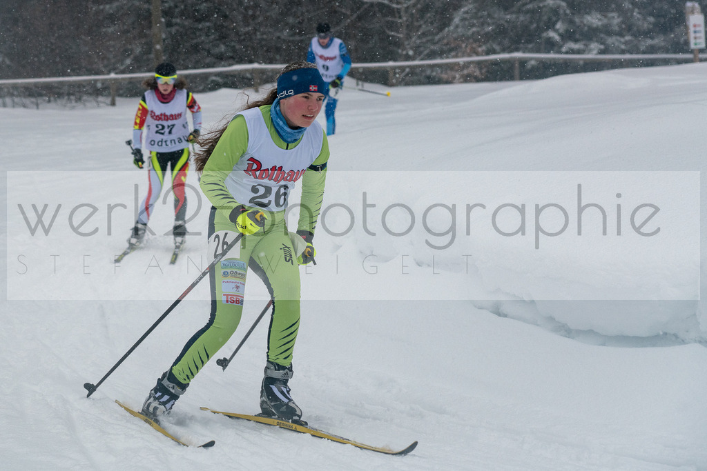 DSC Notschrei | 2. DSV E.INFRA Schülercup im Nordic-Center Notschrei vom 2. - 3. Februar 2019