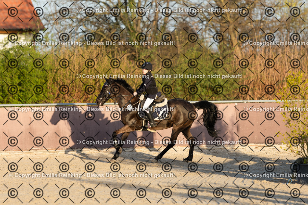 CL5A6372 | Emilia Reinking Fotografie - Realisiert mit Pictrs.com