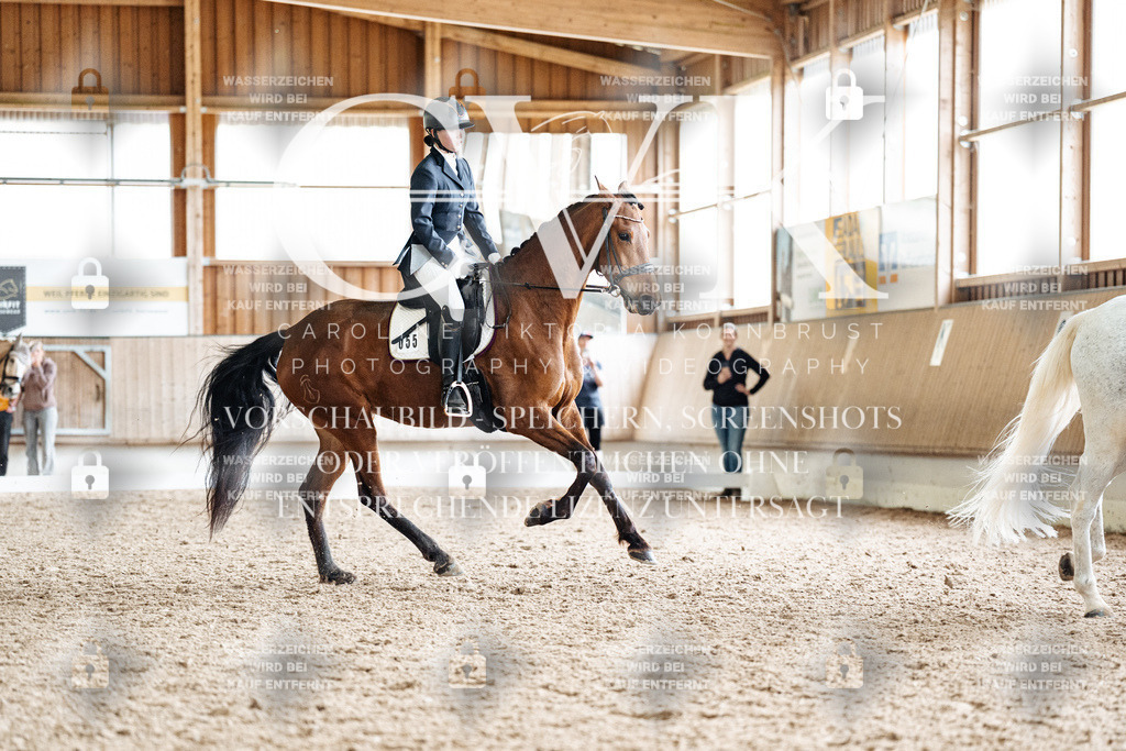 CK900399 | Turnierfotografie Pferdefotografie Trier Rheinland-Pfalz Pferdesport Reitsport Tierfotografie Sportfotografie Pferdevideo Pferdevideografie Equestrianvideography equestrianphotography  - Realisiert mit Pictrs.com