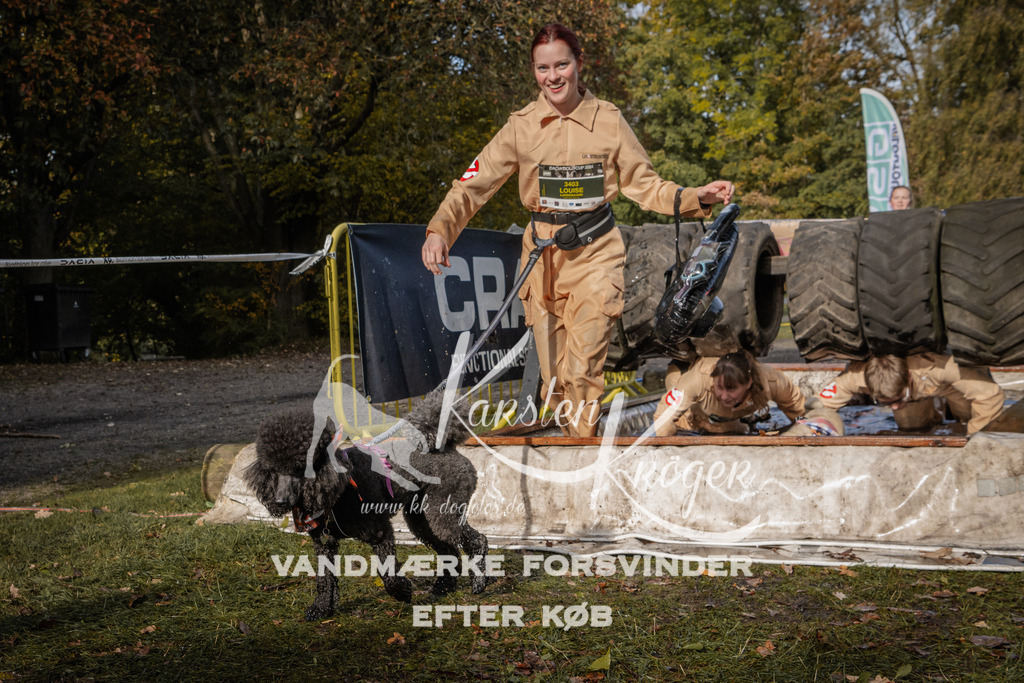 1401_ZZ93759 | kk-dogfotos