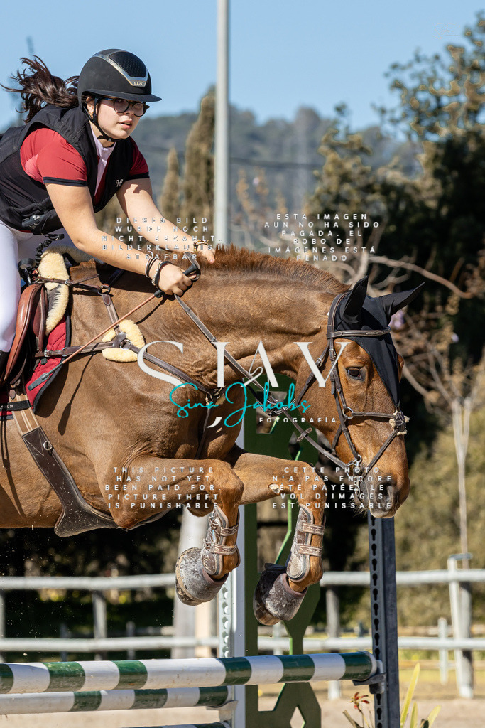 IMG_9237 | s-jay-photography - Realisiert mit Pictrs.com