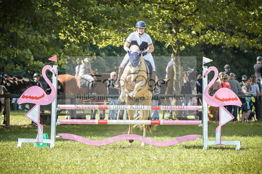 DOS_0710 | Entdecke hochwertige Reitturnierfotos von Foto Oger. Professionell, emotional und authentisch – jetzt Lieblingsmomente im Shop bestellen.Deutschlandweite Turnierfotografie. - Realisiert mit Pictrs.com
