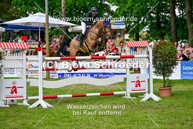 Johanna Zander-Keil_987_3669-2 | Björn Schroeder Pferdefotografie