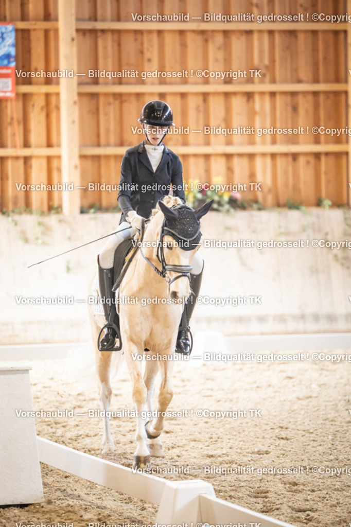 _D5A8484 | Emotionale Pferde- & People-Fotografie rund um Heidelberg, Leimen & Umgebung. Natürliche Fotos von Pferd, Mensch & Familie. Jetzt Termin sichern!